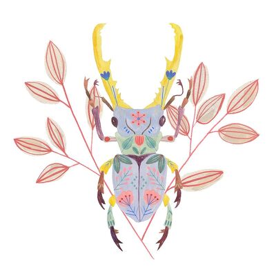 Floral Beetles V