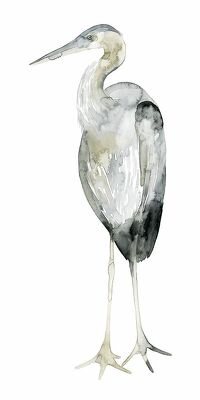Grey Watercolor Heron II