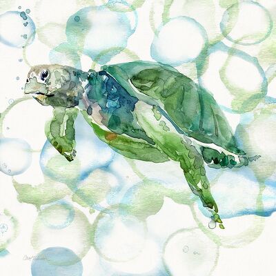 Turtle Bubbles II